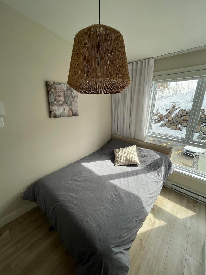 Le Riverain - Condo Neuf Au Bord De L'Eau Shawinigan Dış mekan fotoğraf