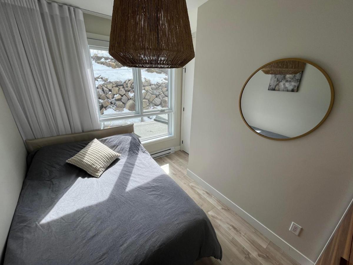 Le Riverain - Condo Neuf Au Bord De L'Eau Shawinigan Dış mekan fotoğraf